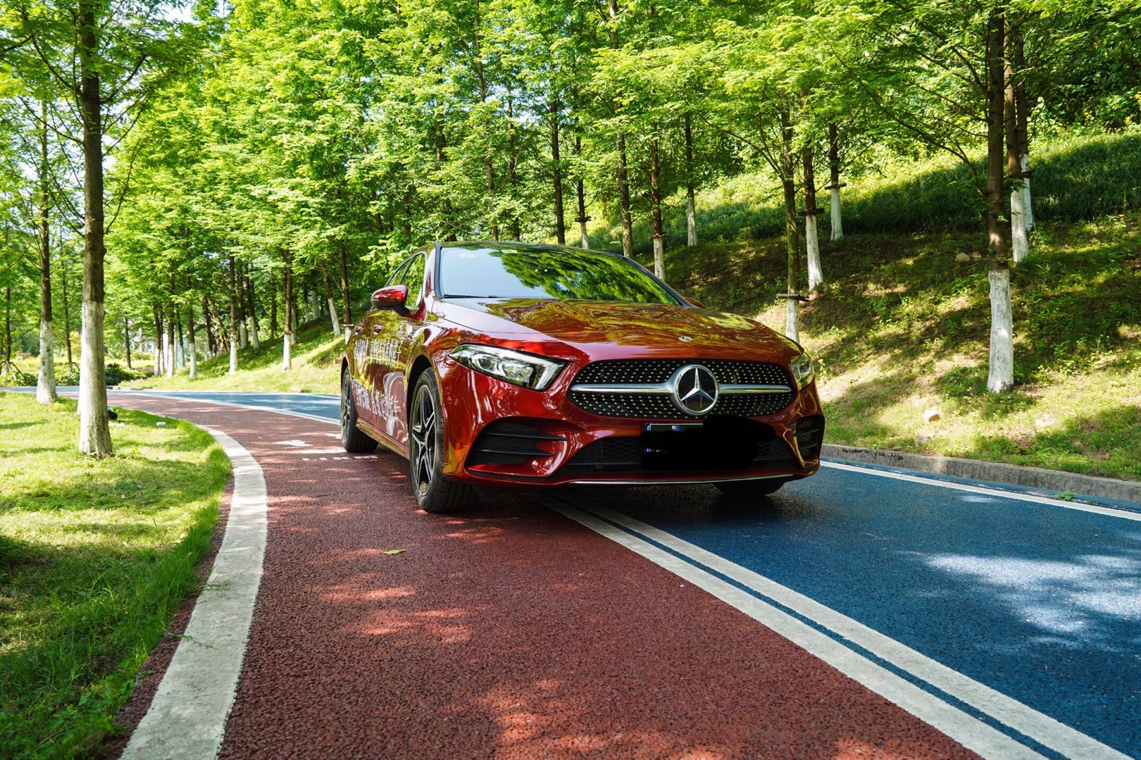 WechatIMG558.jpeg WechatIMG558.jpeg